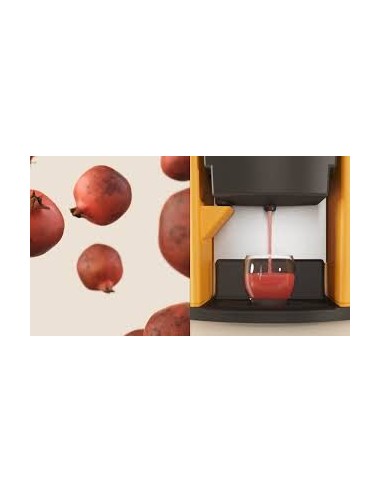 Exprimidora Zummo Z14 Nature profesional | Hostelería