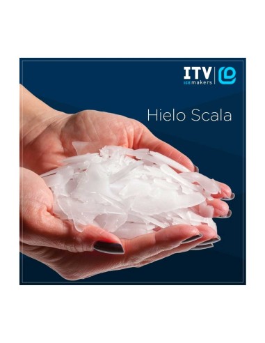 Maqina de Hielo en Escamas Scala 400 ITV|HosteleriaNegocios