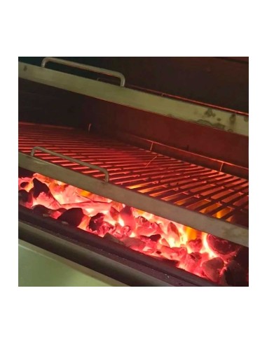 Carbón Vegetal de Marabú Saco de 15 kg Pira |Hosteleria negocios