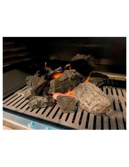 Carbón Vegetal de Marabú Saco de 15 kg Pira |Hosteleria negocios