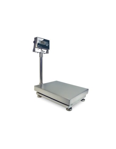 Báscula de Acero Inoxidable Profesional | Hostelería Negocios