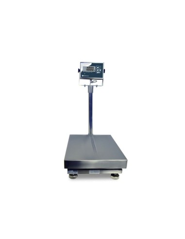 Báscula de Acero Inoxidable Profesional | Hostelería Negocios