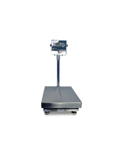 Báscula de Acero Inoxidable Profesional | Hostelería Negocios