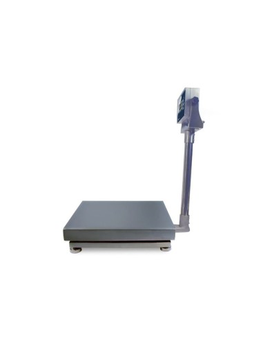 Báscula de Acero Inoxidable Profesional | Hostelería Negocios