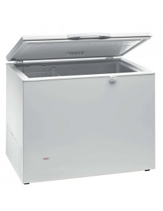 Congelador Puerta Abatible AVEIRO HC430DUO|Hosteleria negocios