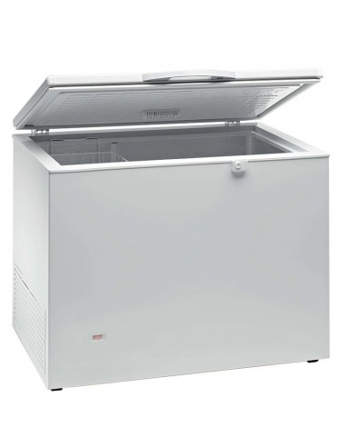 Congelador Puerta Abatible AVEIRO HC430DUO|Hosteleria negocios