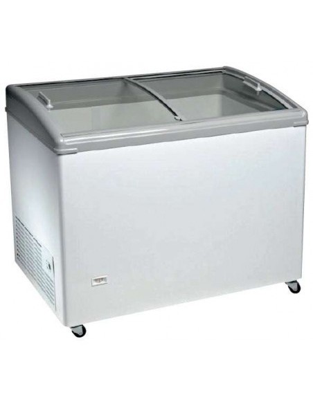 Congelador Puerta Cristal Corredera Aveiro TCHC300N|Hosteleria negocios
