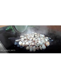 Plancha Vitrocerámica Gas VITROGAZ80 80 cm | Hostelería Negocios 2