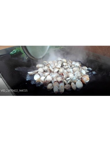 Plancha Vitrocerámica Gas VITROGAZ80 80 cm | Hostelería Negocios
