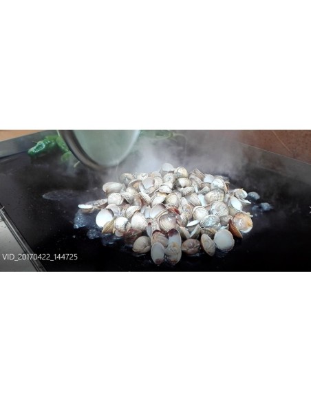 Plancha Vitrocerámica Gas VITROGAZ80 80 cm | Hostelería Negocios