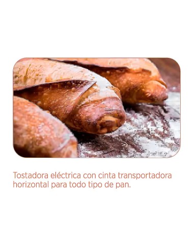 Tostadora de cinta TPC-75 EDENOX|Hosteleria Negocios