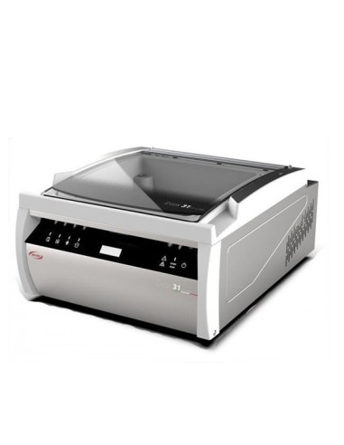 Envasadora al Vacío Orved Evox-31 Gas 31 cm | Hostelería Negocios