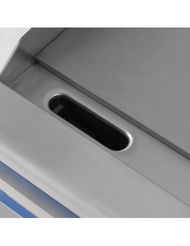 Fry Top a Gas Profesional Acero Rectificado GG-600|Hostelería Negocios