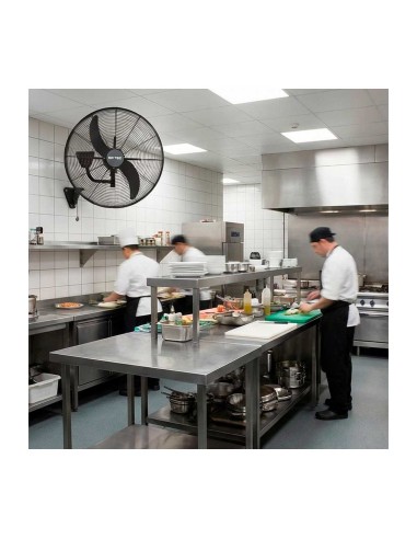 Ventilador Industrial Pared BDFP 650 TW Britec | Hostelería Negocios