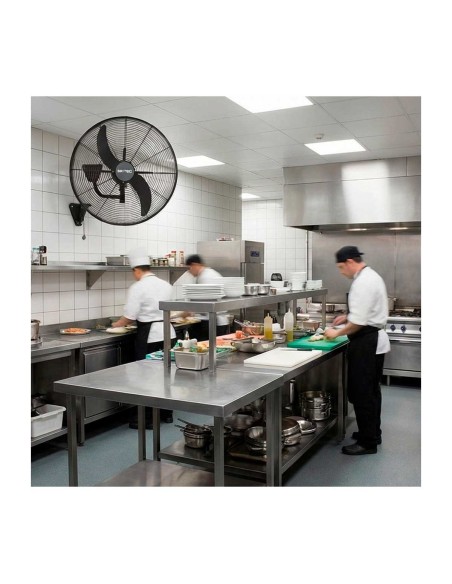 Ventilador Industrial Pared BDFP 650 TW Britec | Hostelería Negocios