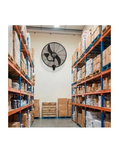 Ventilador Industrial Pared BDFP 650 TW Britec | Hostelería Negocios
