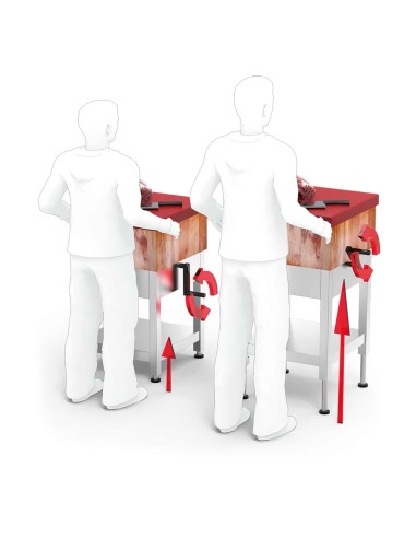 Tajo de Troceo Elevable Fricosmos | Hostelería Negocios