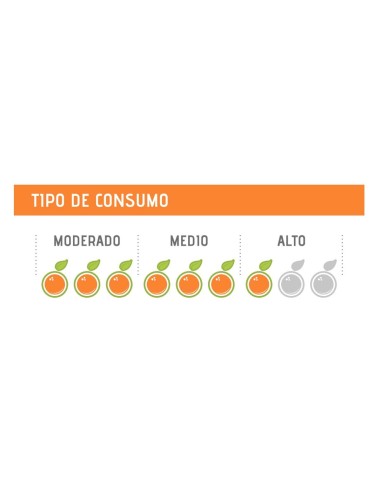 Exprimidor Auto Pro Z Mizumo | Hostelería Negocios