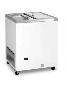 Arcón Conservador Granizados GTO 170 Masquefrio | Hosteleria Negocios