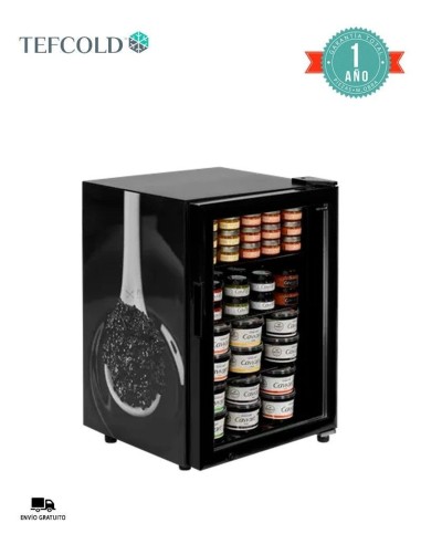 Armario Caviar Tefcold UR90G-SUB ZERO | Hosteleria Negocios