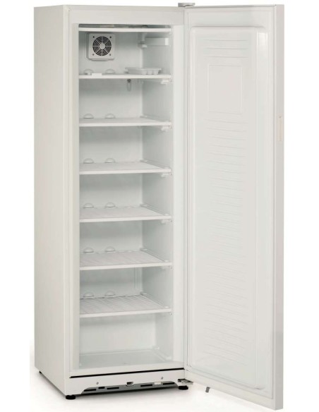 Armario Snack Congelados Blanco FRZ350SD|Hosteleria negocios