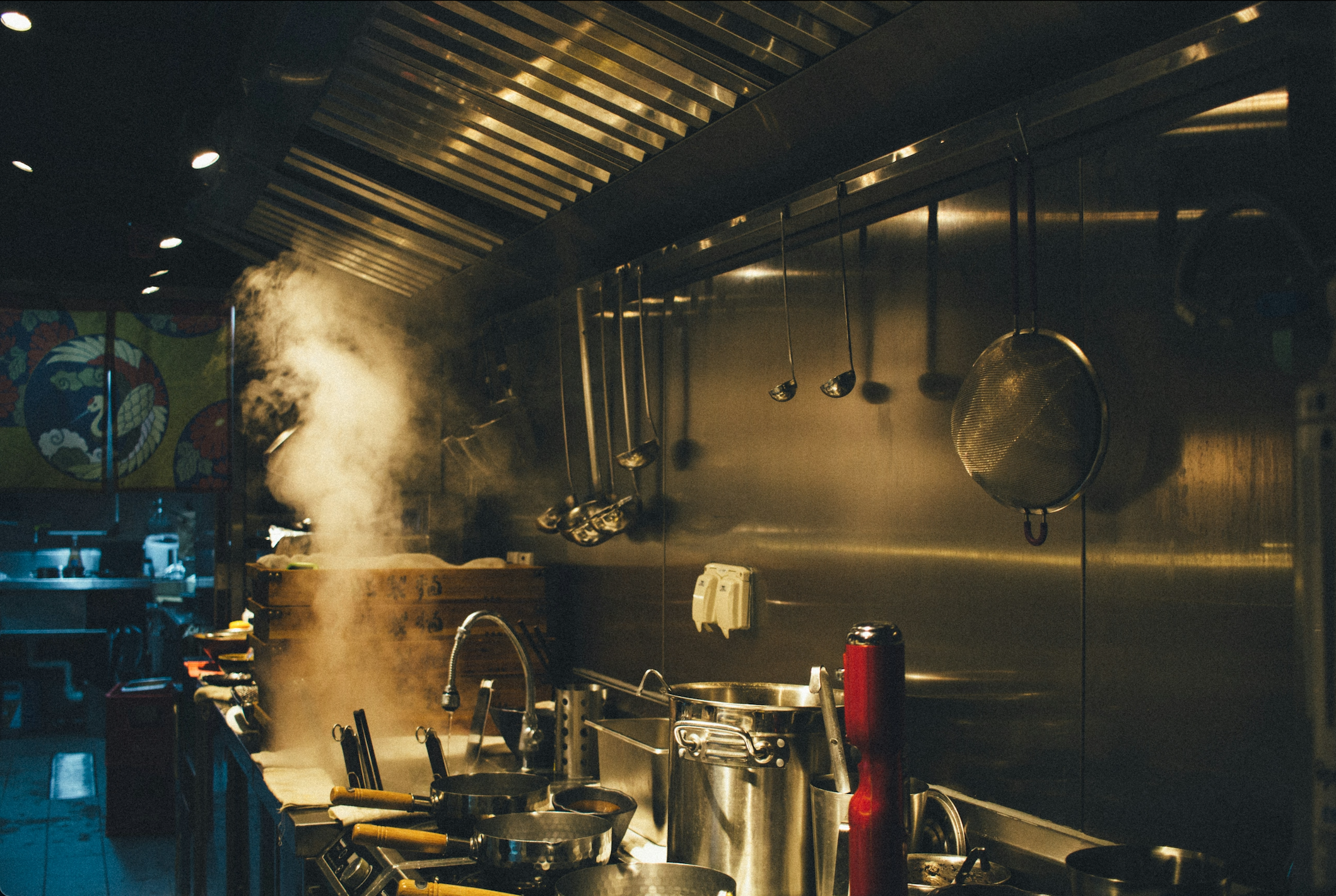 Cómo Equipar una Cocina Profesional: Equipos Esenciales y Comparativas
